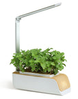 Intelligent Hydroponic Light Planter